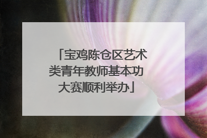 宝鸡陈仓区艺术类青年教师基本功大赛顺利举办